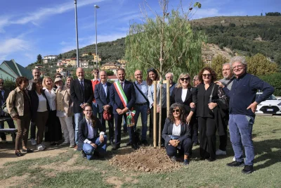 75albero_001