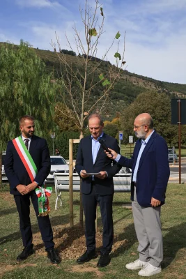 75albero_010