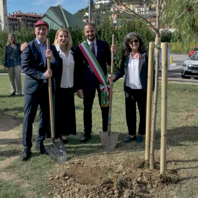 75albero_015