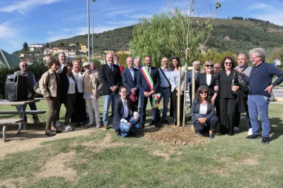 75albero_019